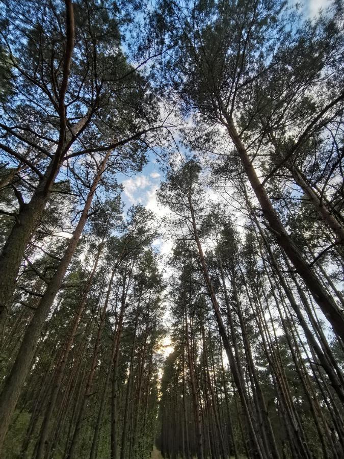M&K Apartamenty Zielony Zakatek - Sobieszewo Gdansk Dış mekan fotoğraf